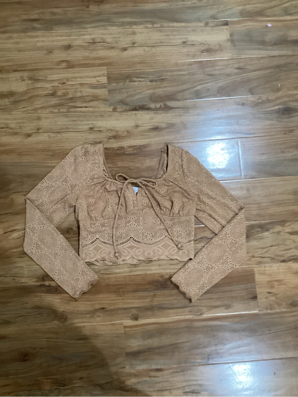 iris Tan Lace Eyelet Long-Sleeve Crop Top